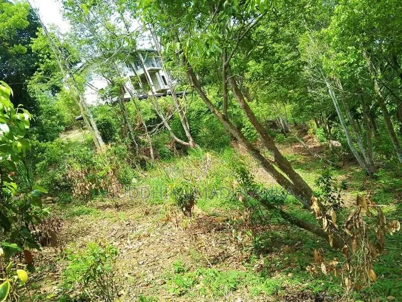 Land for Sale in Wawulugala