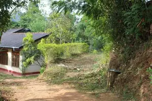 Land for Sale Ella