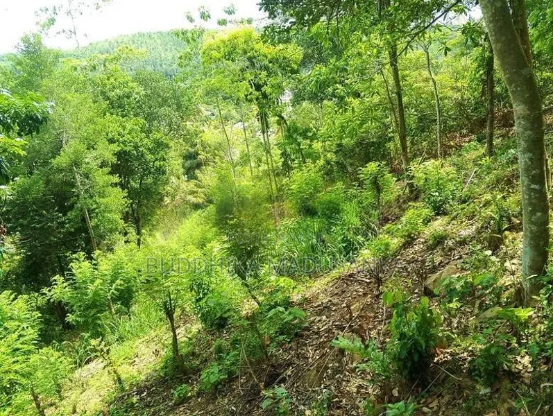 Land for Sale in Wawulugala