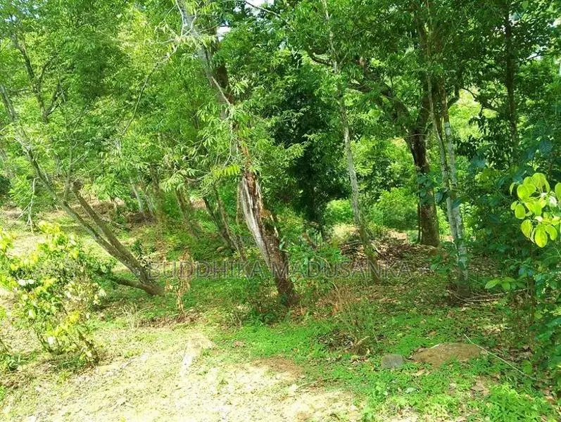 Land for Sale in Wawulugala