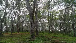 Tourism Lands Plots in Ahangama