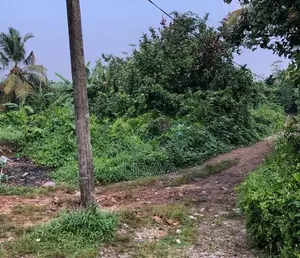 Land for Sale - Kottawa