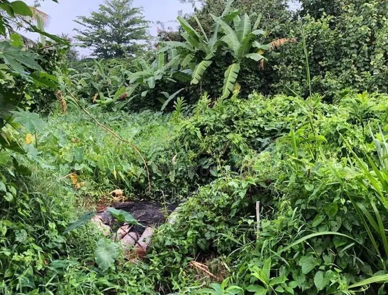 Land for Sale - Kottawa