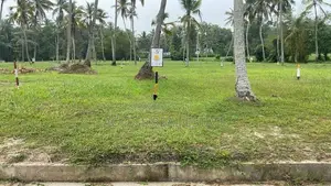 Land for Sale in Mellawagedara
