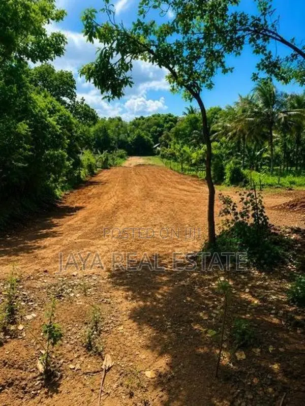 Land Plots Near to Turtle Beach Tangalle Rekawa