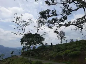 Mountain View Land for Sale in Pundaluoya