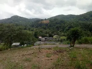 Land for Sale in Uthuwankanda
