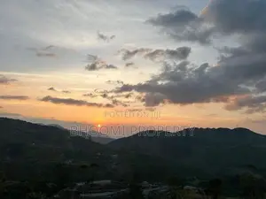හැටන් වටවල අගනා බිම් කොටස්