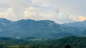 හන්තාන කදු පෙනෙන මානයේ අගනා බිම් කොටස් කිහිපයක්