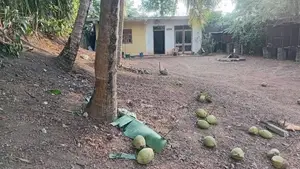 Piliyandala Madapatha Road 18.5 Perches of Land for Sale