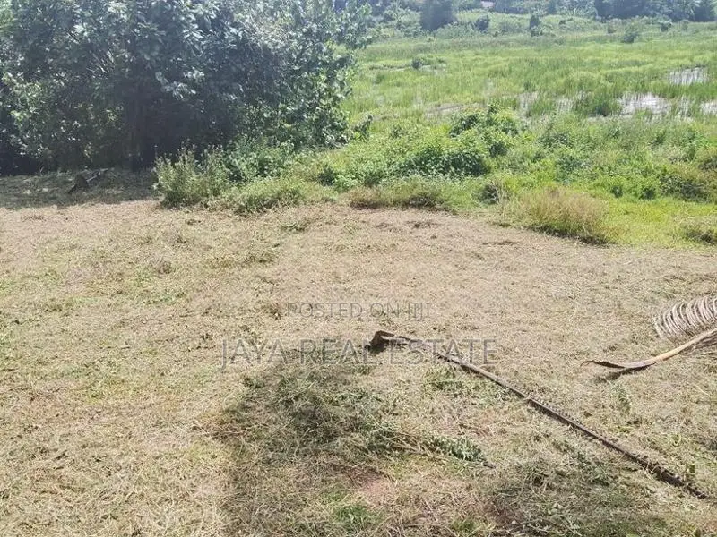 ඇඹුල්ගමෙන් පර්චස් 06ක සුපිරි ඉඩමක්