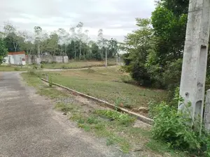 හල්බරාව බස් පාරෙන් බිම් කොටස් විකිණීමට