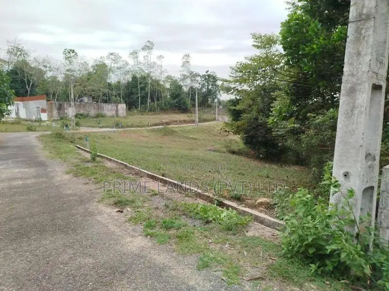 හල්බරාව බස් පාරෙන් බිම් කොටස් විකිණීමට