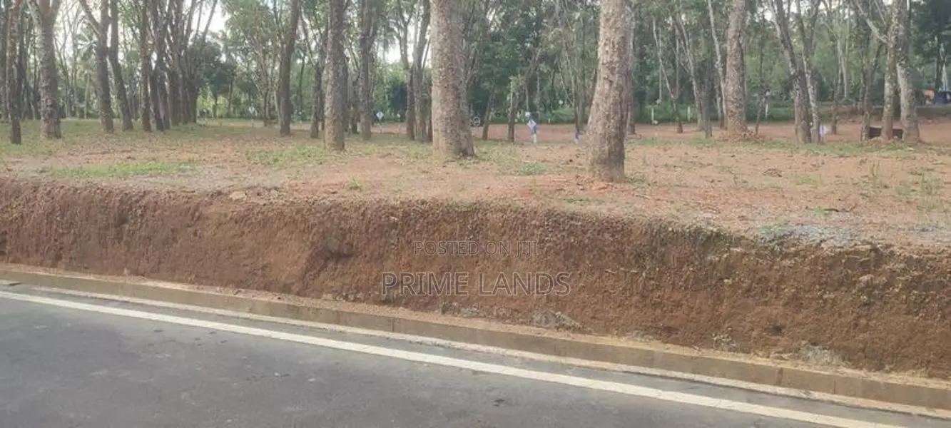 Land for Sale in Homagama Thalagala