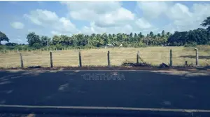 Land for Sale in Mahakubukkadawala