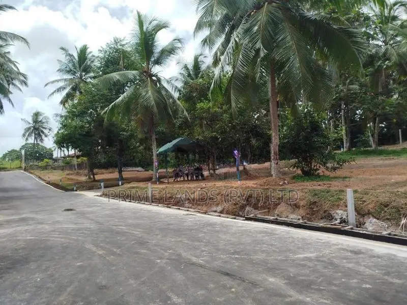 පොල්ගස්ඕවිට මත්තේගොඩ පාරෙන් බිම් කොටස් විකිණීමට