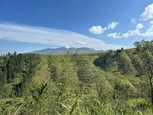 හැටන් වටවල අගනා බිම් කොටස්