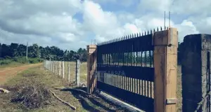 Land for Sale in Mahakubukkadawala