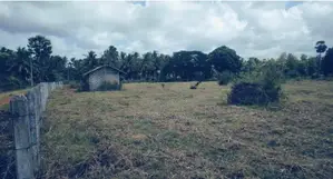 Land for Sale in Mahakubukkadawala