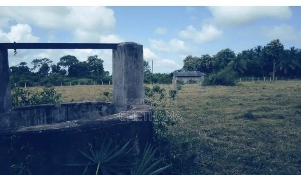 Land for Sale in Mahakubukkadawala