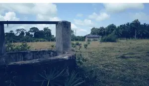 Land for Sale in Mahakubukkadawala