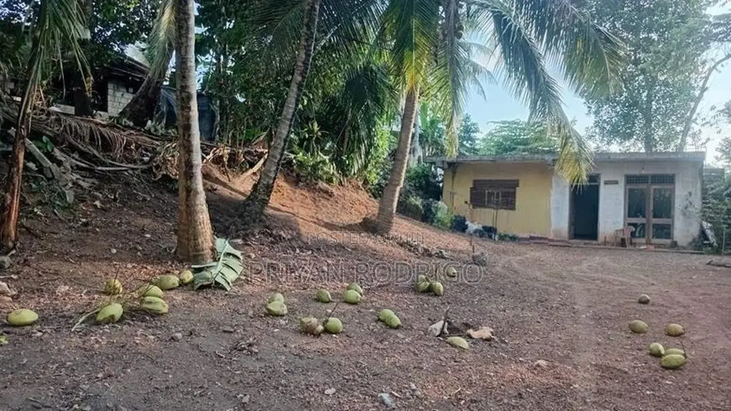 Piliyandala Madapatha Road 18.5 Perches of Land for Sale
