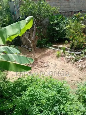 Mount Lavinia Samudrasanna Rd 20 perches Land with House for Sale