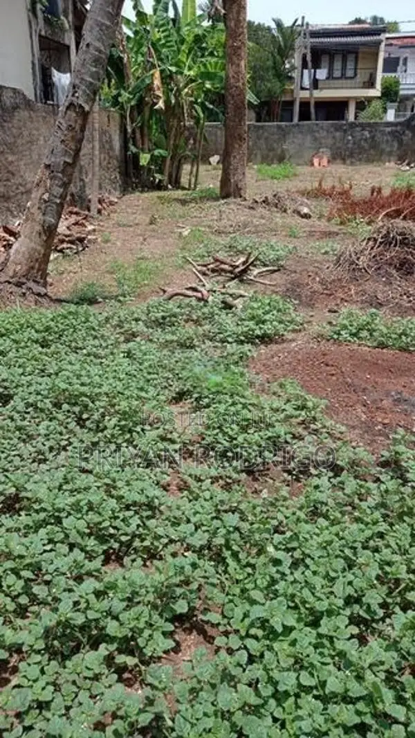 Mount Lavinia - Temple Road Bare land for Sale