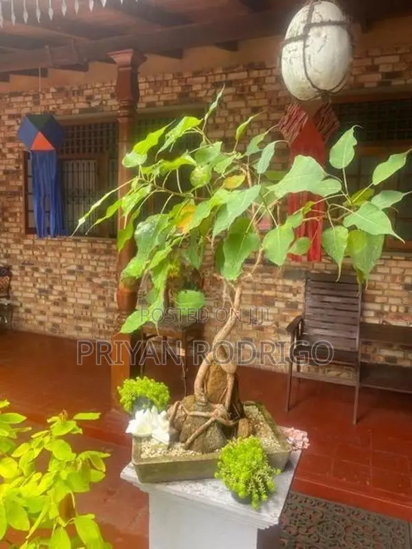 Thalawathugoda, 19.5 Perch Land with a Beautiful 04 BR House for Sale