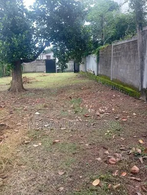 Pitakotte Epitamulla Road 18.5 Perches top residential Land for Sale