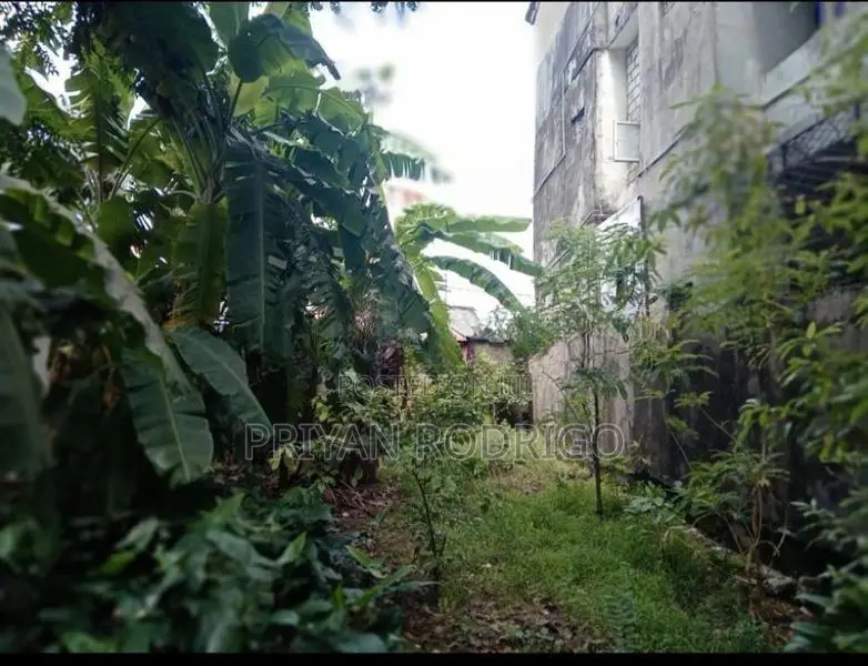 35 Perches of Land for Sale in Dematagoda