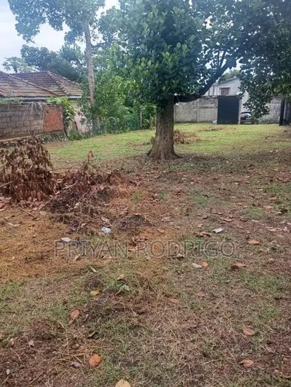 Pitakotte Epitamulla Road 18.5 Perches top residential Land for Sale