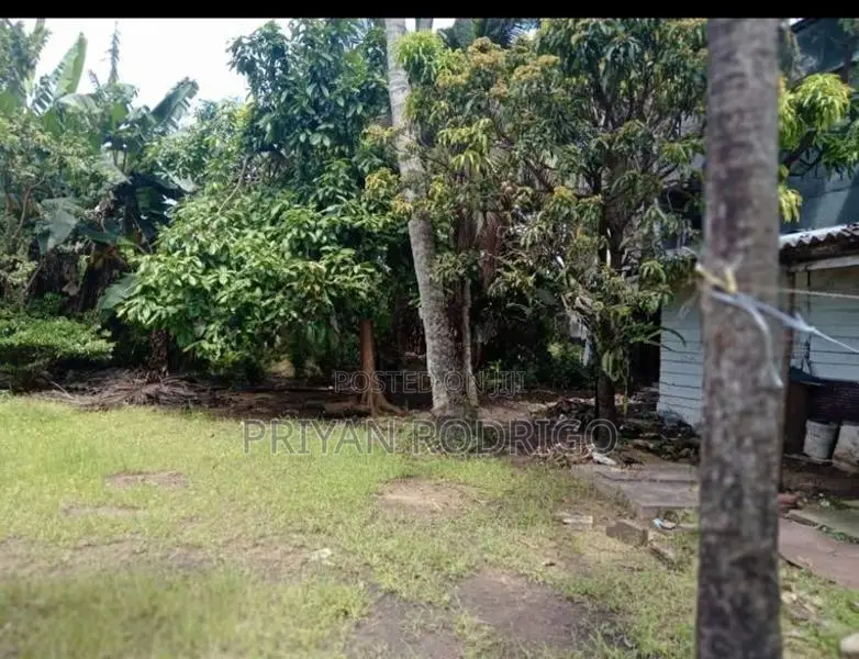 35 Perches of Land for Sale in Dematagoda