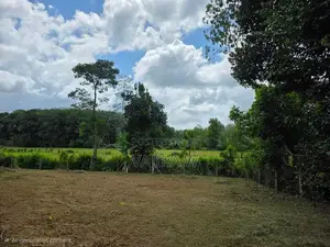 Athurugiriya සුන්දර වෙල්යාය මුහුණලා ඇති අනගි බිම් කොටස්