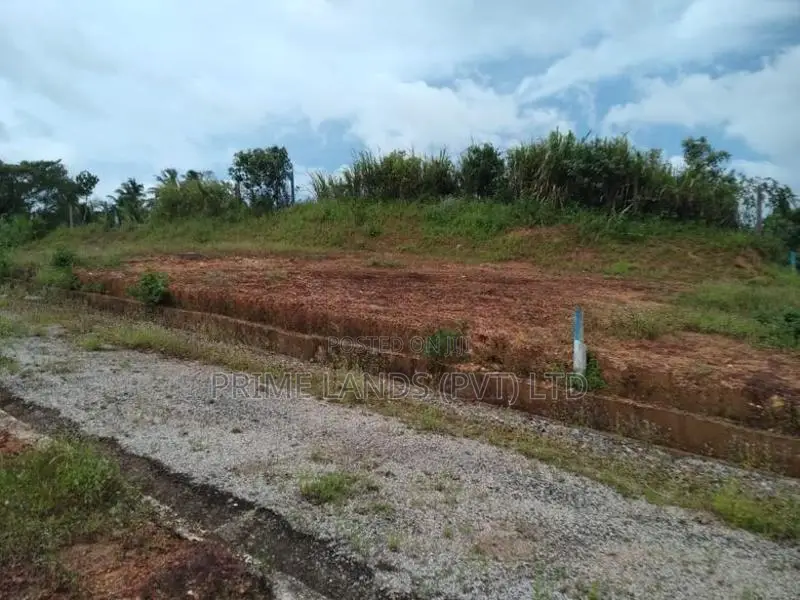 මීගොඩ ආටිගල පාරෙන් බිම් කොටස් විකිණීමට