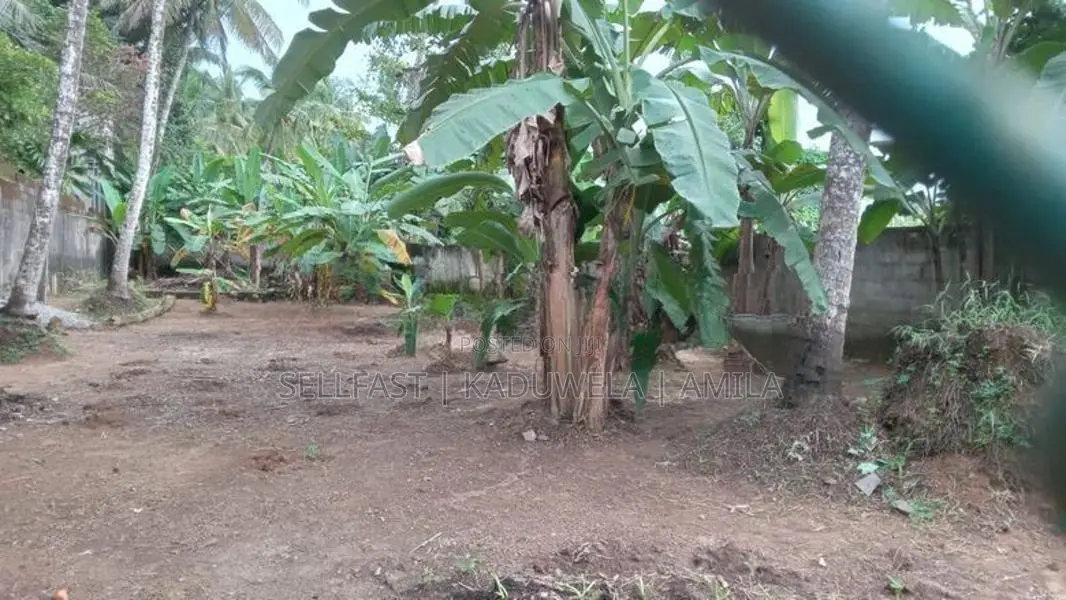 Land for Sale- Kaduwela Dahampasal Mawatha