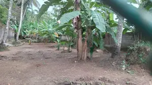 Land for Sale- Kaduwela Dahampasal Mawatha
