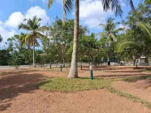 Valuable Land For Sale In Homagama