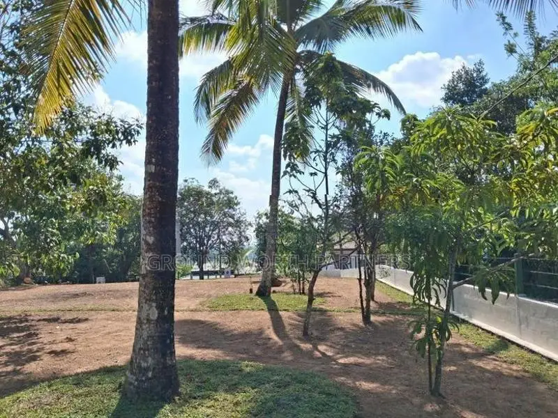 Valuable Land For Sale In Homagama
