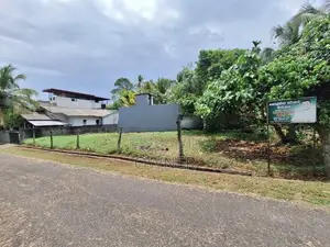 Prime Residential Land for Sale in Thoramulla, Homagama 10.5 Perches