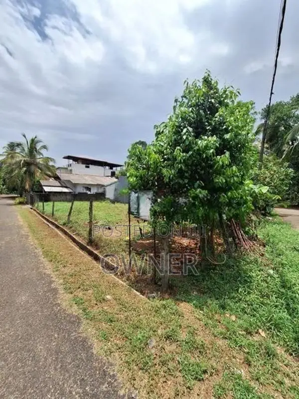 Prime Residential Land for Sale in Thoramulla, Homagama 10.5 Perches