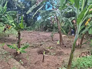 POLGASOWITA : 14 PERCHES LAND FOR SALE