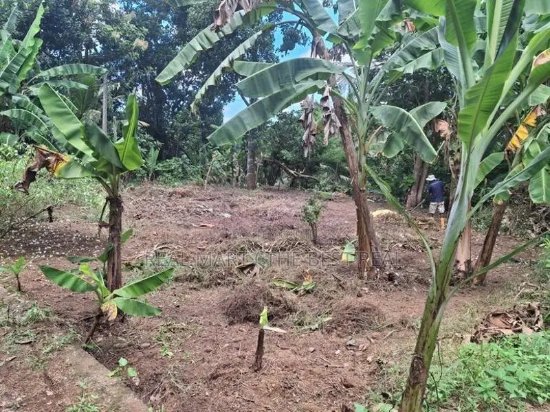POLGASOWITA : 14 PERCHES LAND FOR SALE