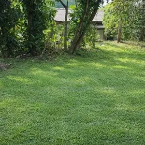 Land with old House for Sale