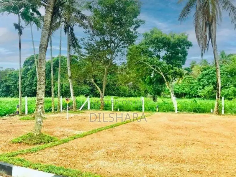 Dikwella Land for Sale