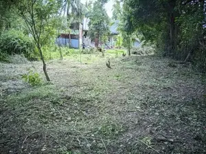 Land for Sale in Ambalanthota