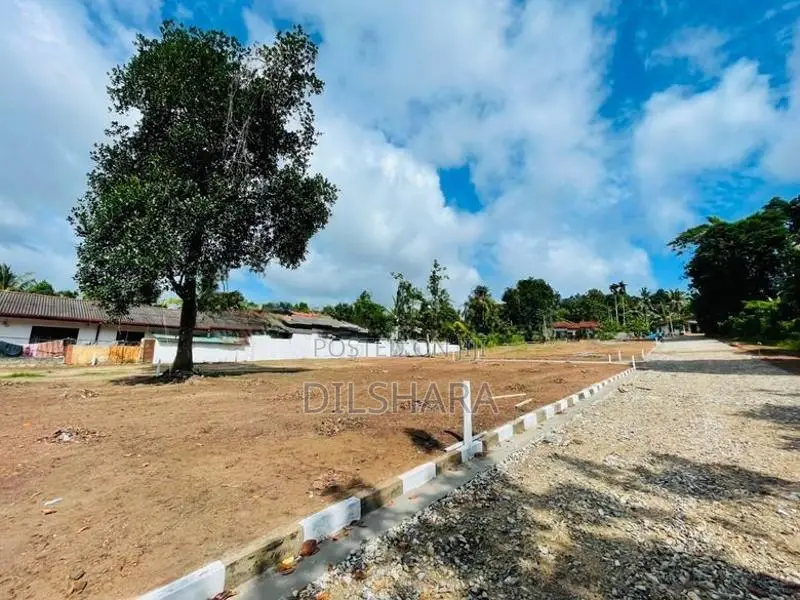 ගම්පහ උඩුගම්පල නගර සීමාවෙන් 244 බස් පාරට නුදුරි බ්ම් කොටස් කිහිපයක්