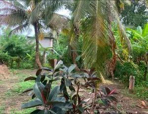 Land for Sale in Wadduwa