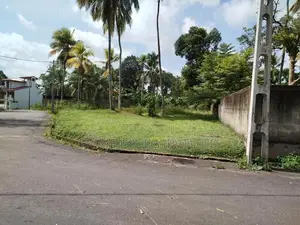 අතුරුගිරිය මුල්ලේගම පාරෙන් බිම් කොටස් විකිණීමට