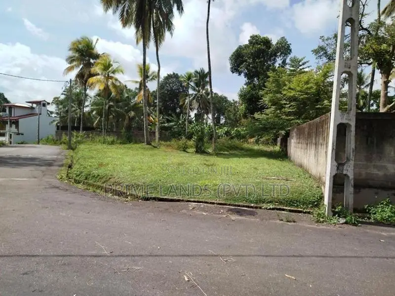 අතුරුගිරිය මුල්ලේගම පාරෙන් බිම් කොටස් විකිණීමට